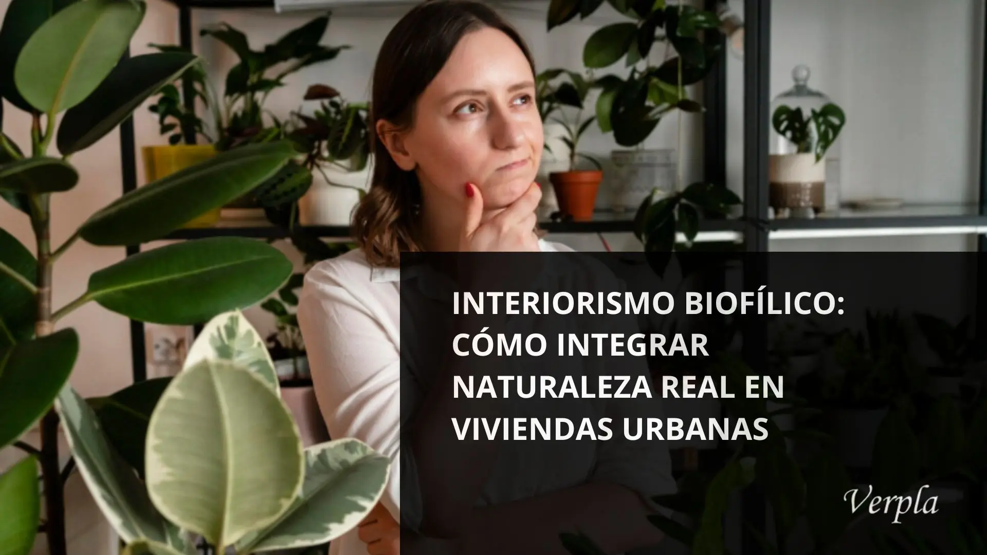 spacio interior con plantas naturales y luz natural en un piso de Barcelona
